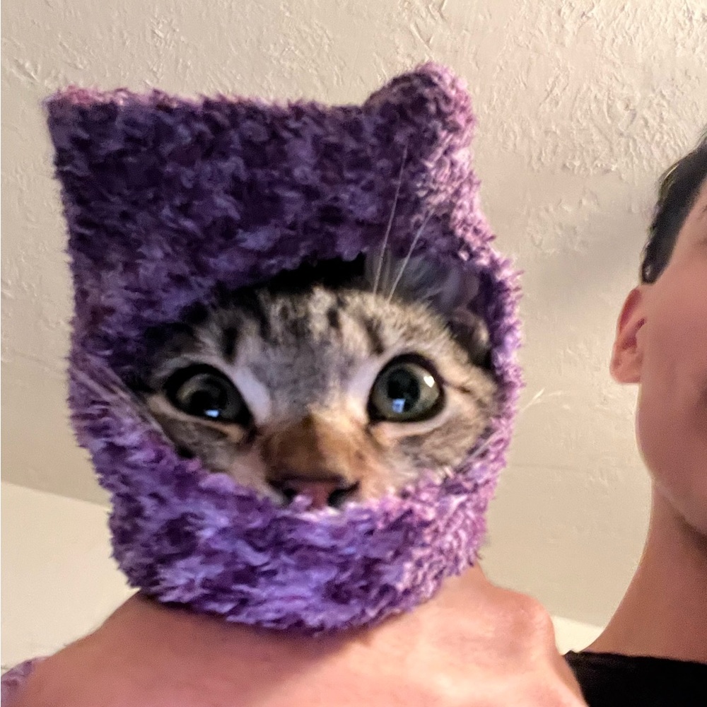 Meet your Posher, Juan